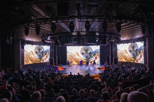 Holland America Line, Koningsdam, World Stage BBC Earth, Enrichment 2.jpg